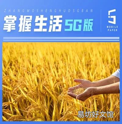農民在選擇種莊稼的時候，可以參考什么來讓利益更大化？