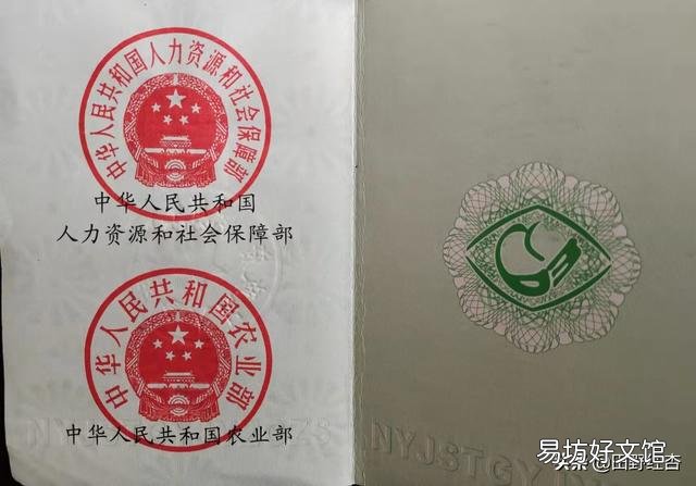 大蒜出苗慢是什么原因,该怎样解决?