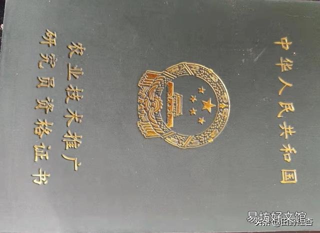 大蒜出苗慢是什么原因,该怎样解决?