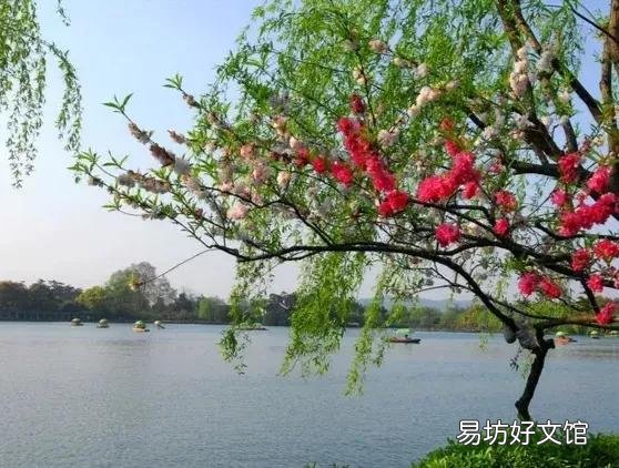 上联:草枯树黄秋风起,如何对下联?