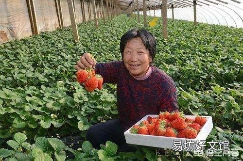 土地挖深2米，上面蓋上塑料膜，種菜效果好嗎？