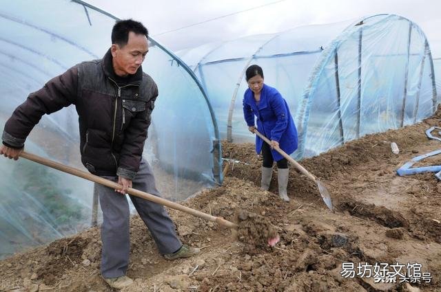 土地挖深2米，上面蓋上塑料膜，種菜效果好嗎？