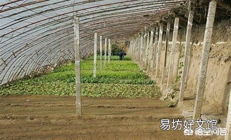土地挖深2米，上面蓋上塑料膜，種菜效果好嗎？