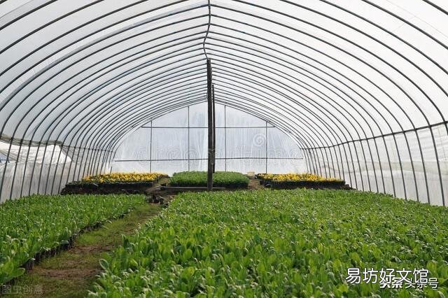土地挖深2米，上面蓋上塑料膜，種菜效果好嗎？