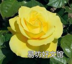 你认为《三国演义》中的杨修是个人才吗？曹操杀他到底对不对？