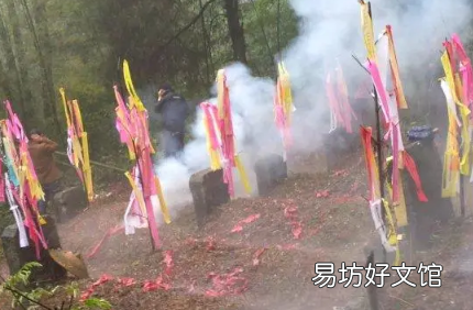 清明节挂青需要些什么 清明节挂青为什么颜色各异