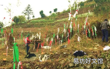 清明节挂青需要些什么 清明节挂青为什么颜色各异