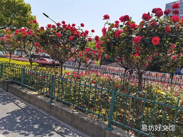一个女人没离婚和一个男人同居一年多,我有证据,可以告她重婚吗?