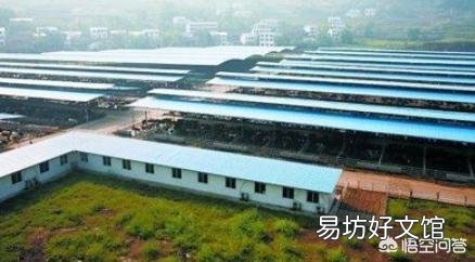 在农用地上搭建养殖棚,属于违法建筑吗?该怎么处理?