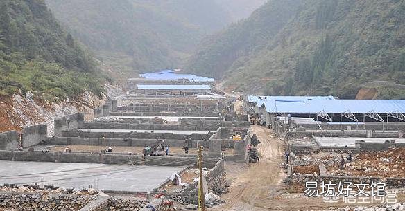在农用地上搭建养殖棚,属于违法建筑吗?该怎么处理?