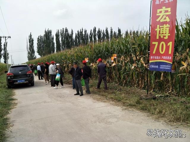田地边角的玉米比里边的长势好，是因为通风好，还是其他原因？