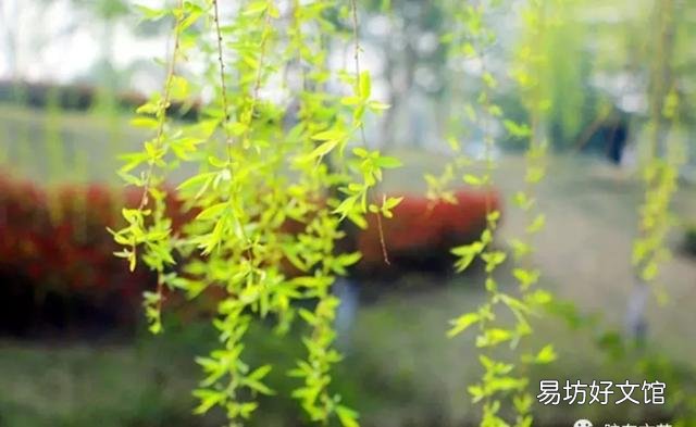上联:常恋山边芳草嫩,如何对下联?