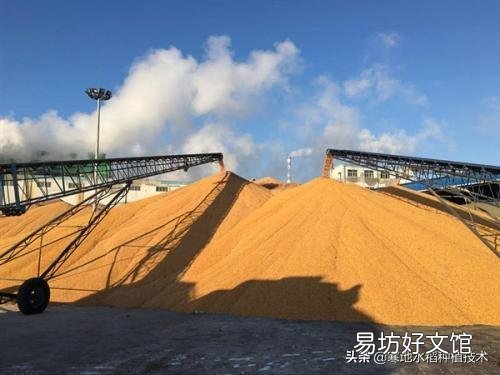 存放多少玉米合法？