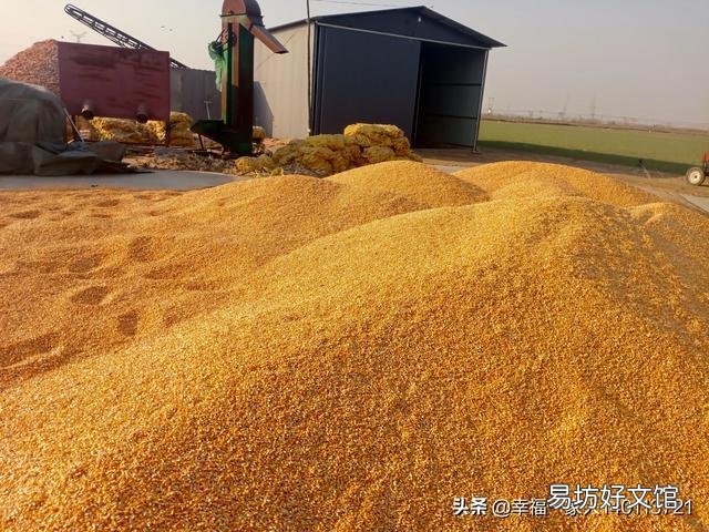 存放多少玉米合法？