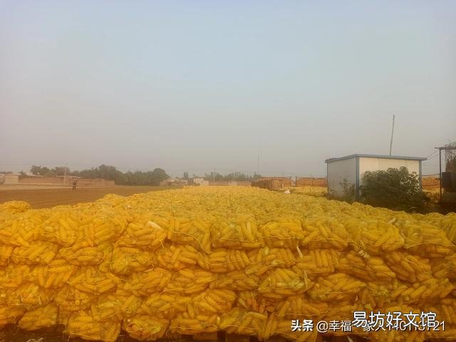 存放多少玉米合法？