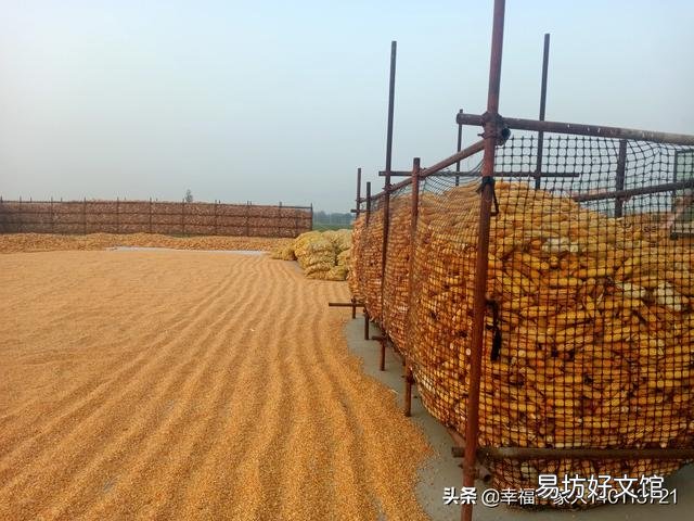 存放多少玉米合法？