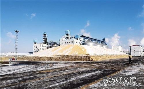 存放多少玉米合法？