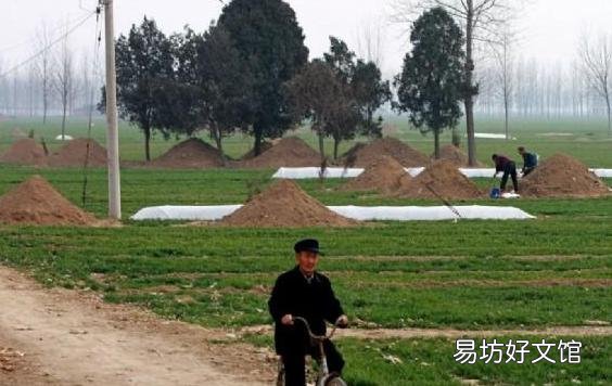 在农村,为什么有些人去世后要埋在庄稼地里?