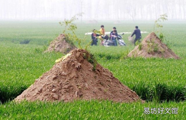 在农村,为什么有些人去世后要埋在庄稼地里?
