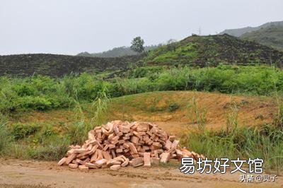 在农村,为什么有些人去世后要埋在庄稼地里?