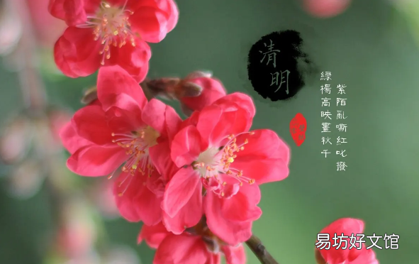 清明节上坟的注意事项 清明节先上坟还是在家祭拜