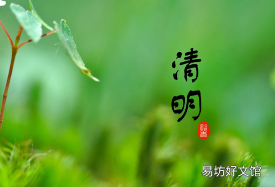 清明节上坟的注意事项 清明节先上坟还是在家祭拜