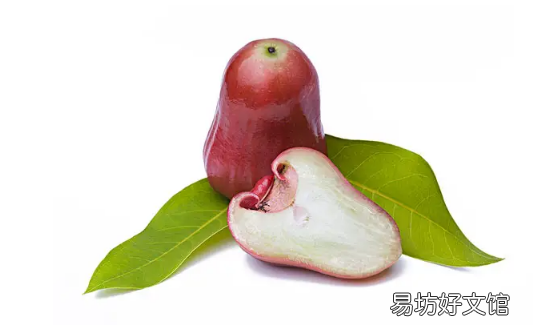 芒果怎么挑 莲雾贵还是芒果贵