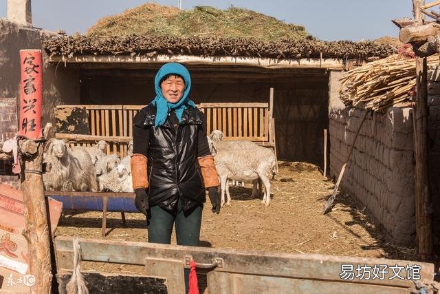 农村什么东西最值钱?