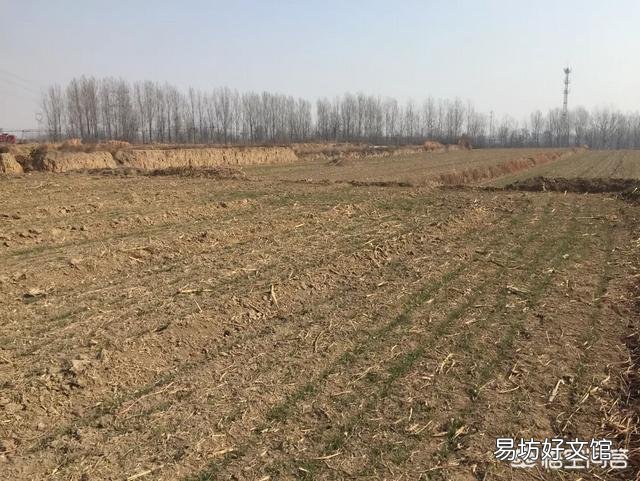 农村什么东西最值钱?