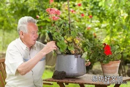 夏天回老家避暑,公公干活回来只穿个裤衩正常吗?