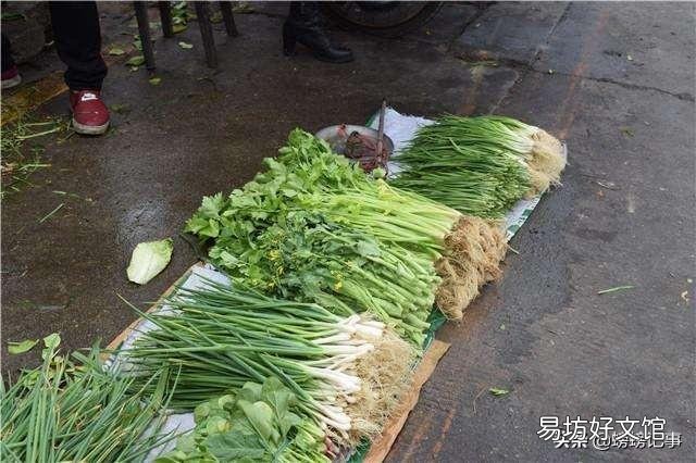 为什么感觉农村种的菜没有城市的贵？