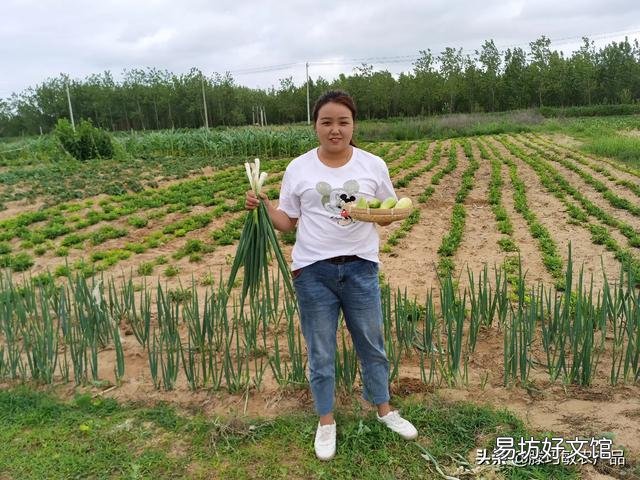 为什么感觉农村种的菜没有城市的贵？
