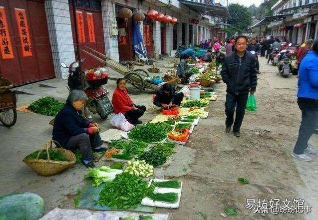 为什么感觉农村种的菜没有城市的贵？