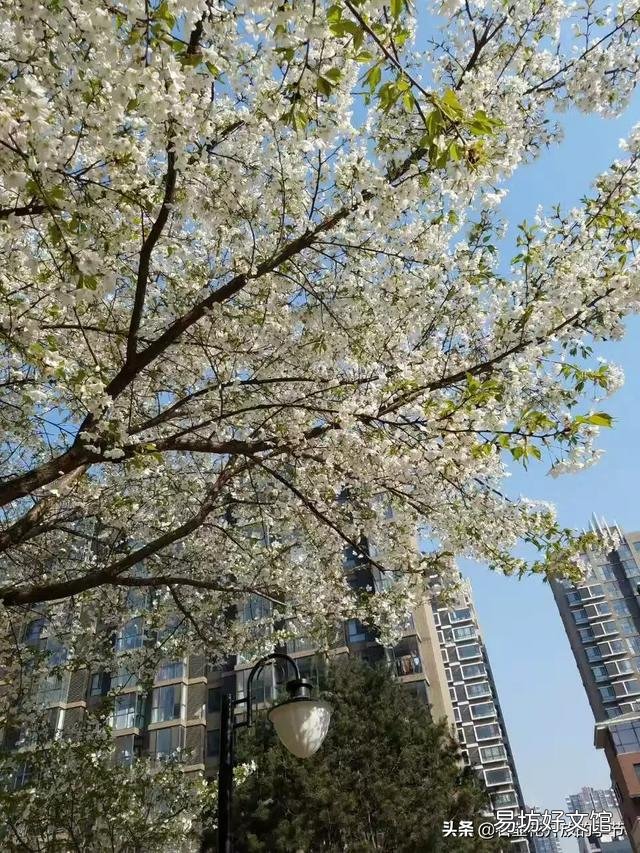 大姑姐今天态度强硬的跟我说,不让我出去工作,要让我在家带孩子,我和她吵起来对吗?