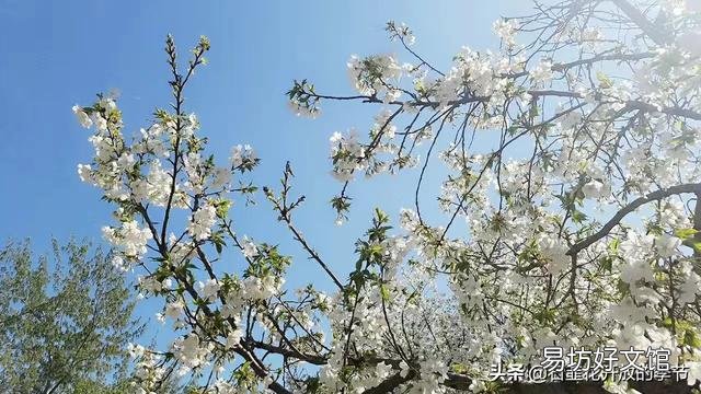 大姑姐今天态度强硬的跟我说,不让我出去工作,要让我在家带孩子,我和她吵起来对吗?