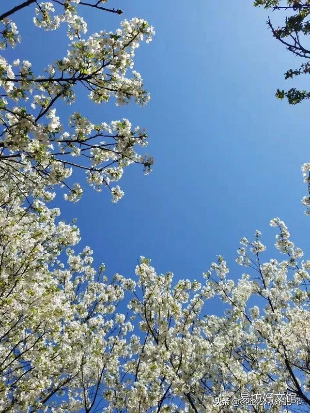 大姑姐今天态度强硬的跟我说,不让我出去工作,要让我在家带孩子,我和她吵起来对吗?