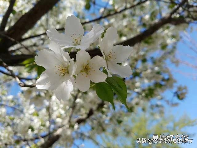 大姑姐今天态度强硬的跟我说,不让我出去工作,要让我在家带孩子,我和她吵起来对吗?