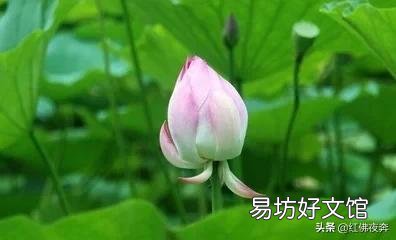 大姑姐今天态度强硬的跟我说,不让我出去工作,要让我在家带孩子,我和她吵起来对吗?