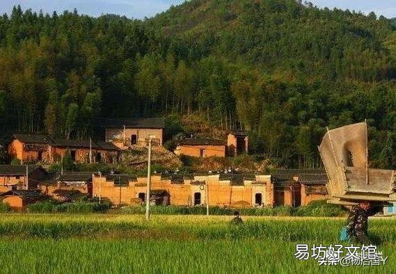 你对农村村委会怎么看?