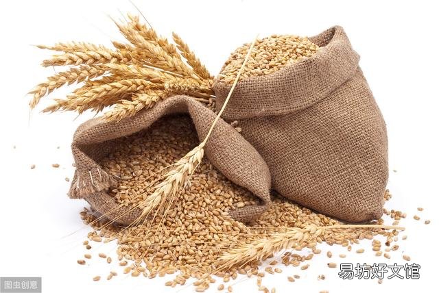 小麦这几天该收割了,突然着火了农民该怎么维护自身利益?