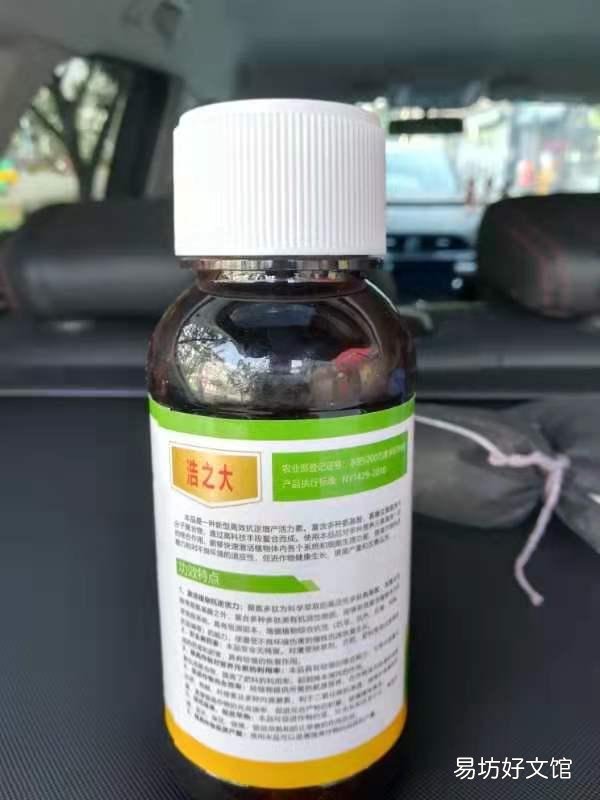 西瓜喷施芸苔素内酯加吡虫啉,戊唑醇后出现药害怎么补救?