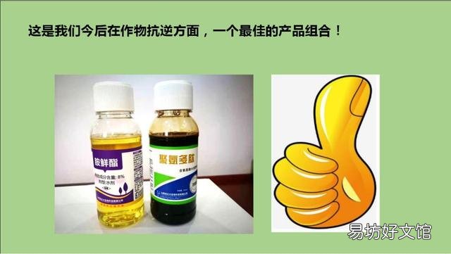 西瓜喷施芸苔素内酯加吡虫啉,戊唑醇后出现药害怎么补救?