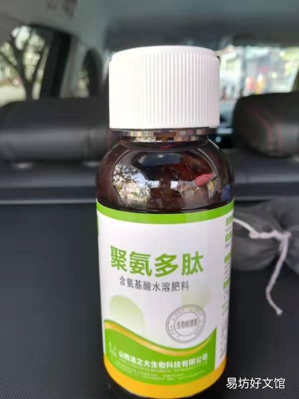 西瓜喷施芸苔素内酯加吡虫啉,戊唑醇后出现药害怎么补救?