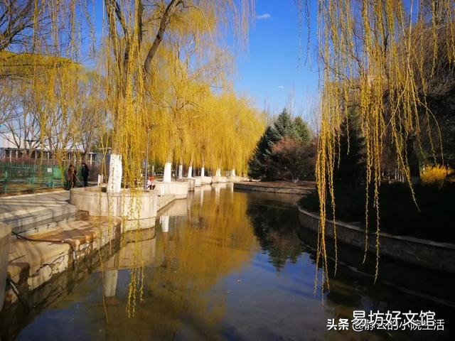 有没有想过,回到农村开启慢生活?
