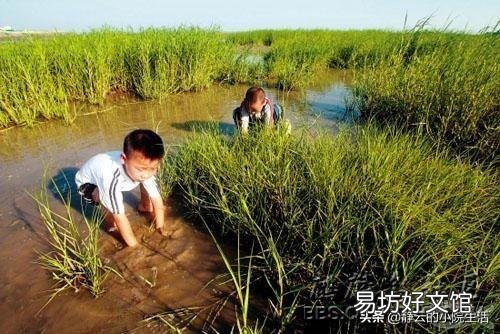 有没有想过,回到农村开启慢生活?