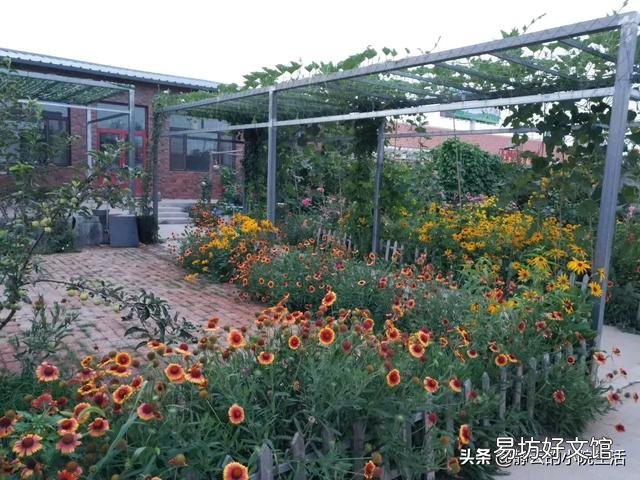 有没有想过,回到农村开启慢生活?