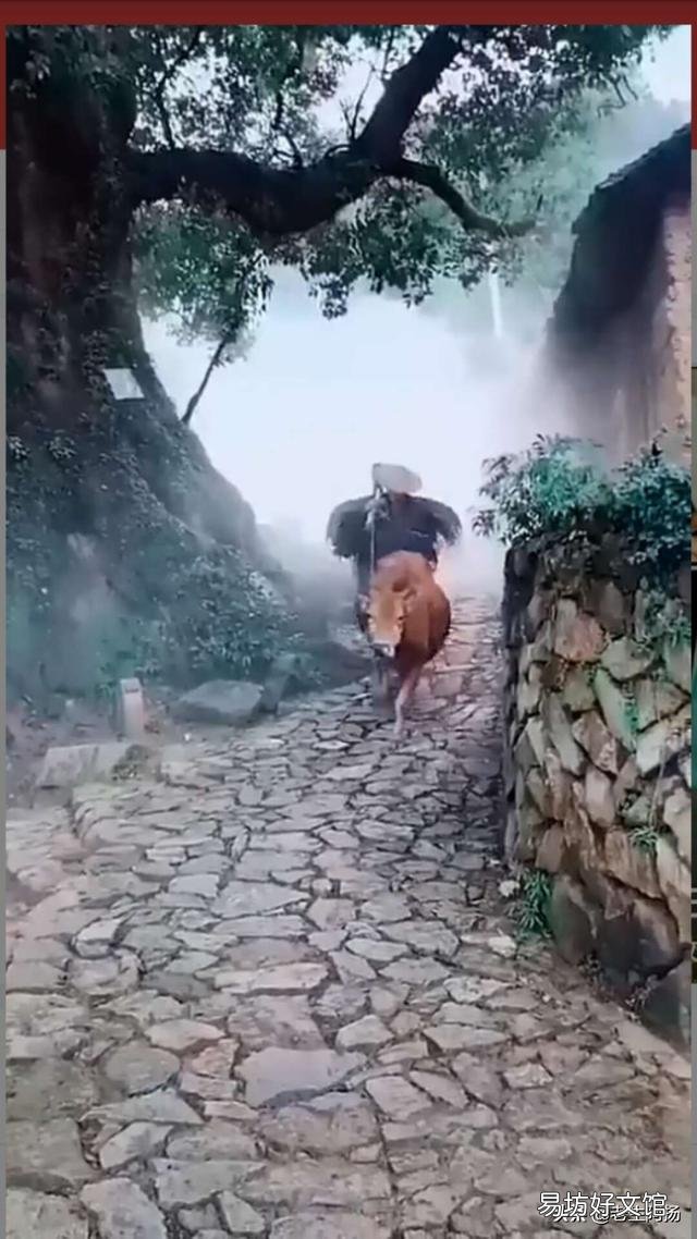 有没有想过,回到农村开启慢生活?