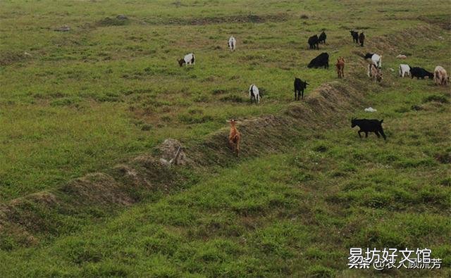 请问农村户口的人没土地怎么办?