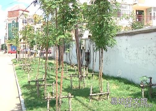 农村俗语“50不盖房,60不种树”是啥意思?有什么道理?