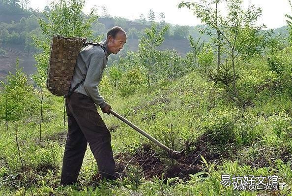 农村俗语“50不盖房,60不种树”是啥意思?有什么道理?